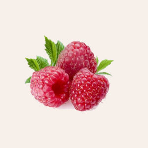 Fresh Raspberry